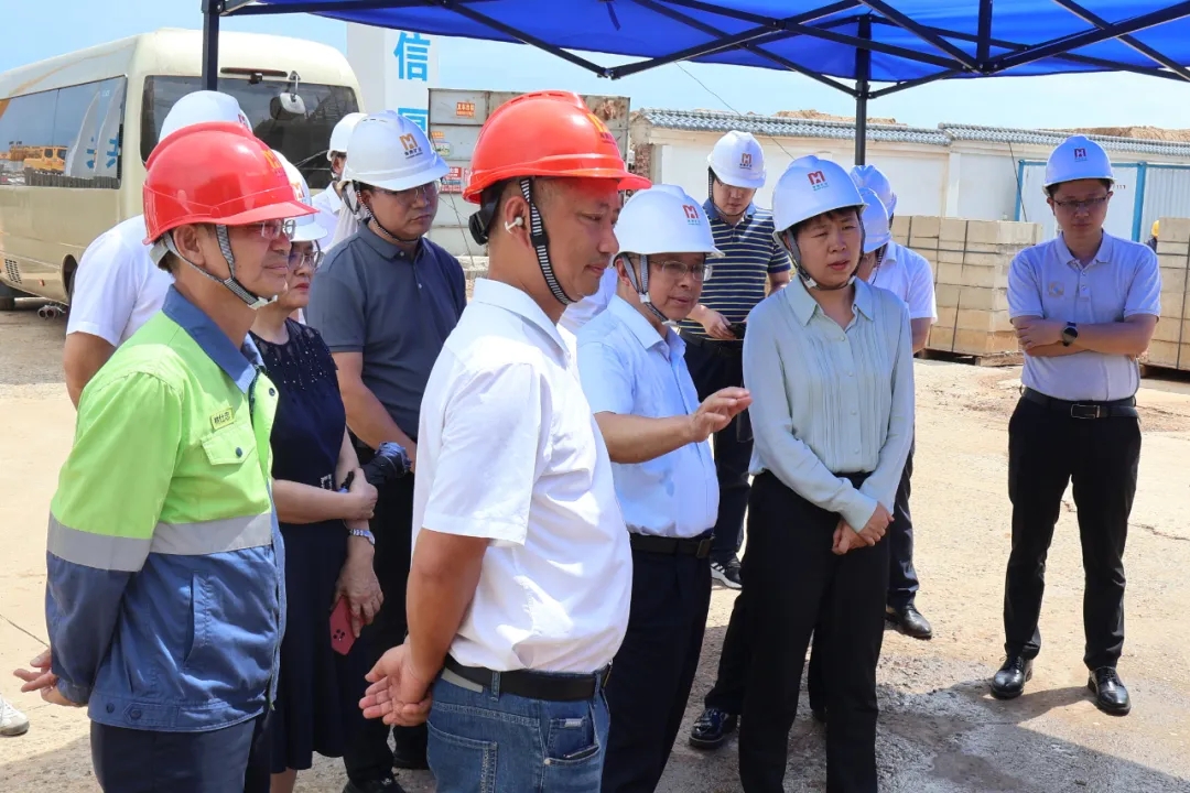 海南省副省長(zhǎng)尹麗波赴星之海2萬(wàn)噸氫氧化鋰項(xiàng)目現(xiàn)場(chǎng)調(diào)研1.jpg