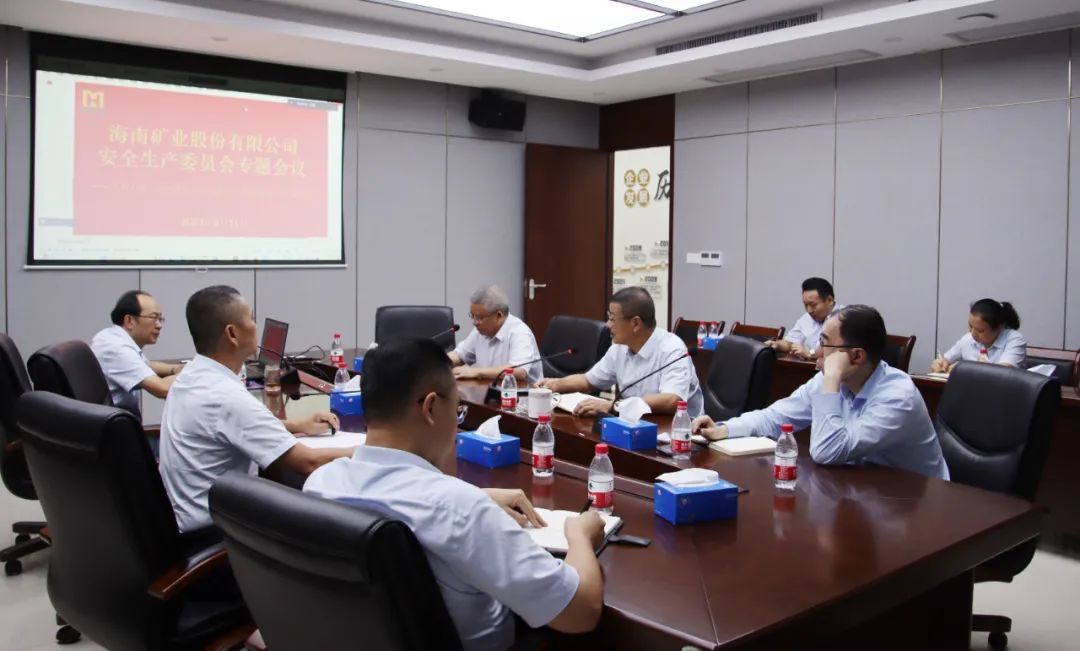 海南礦業(yè)安委會(huì)學(xué)習(xí)宣貫《關(guān)于進(jìn)一步加強(qiáng)礦山安全生產(chǎn)工作的意見(jiàn)》