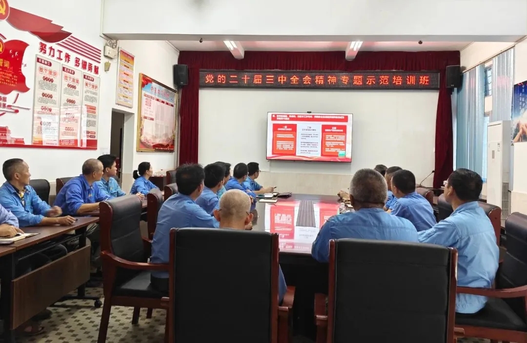 海南礦業(yè)組織觀看學(xué)習(xí)貫徹黨的二十屆三中全會(huì)精神專題示范班課堂視頻直播