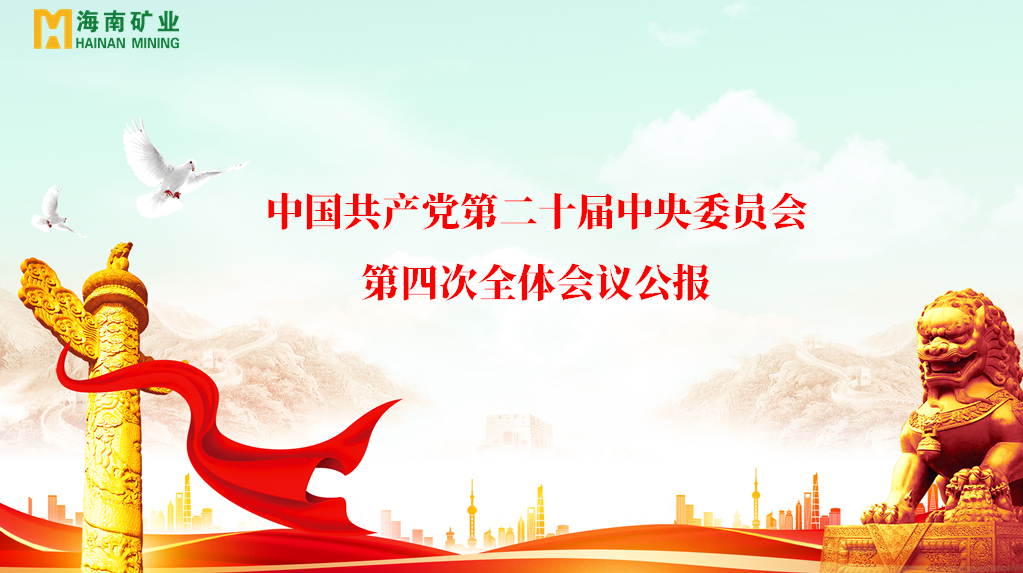 海南礦業(yè)黨委學(xué)習(xí)貫徹黨的二十屆四中全會精神